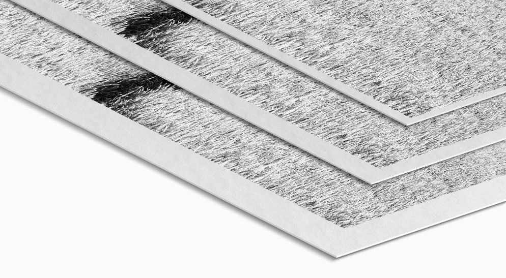 Weißrand - Ilford Mono Silk Schwarz-Weiß Fine Art Print Weißrand - Ilford Mono Silk Schwarz-Weiß Fine Art Print