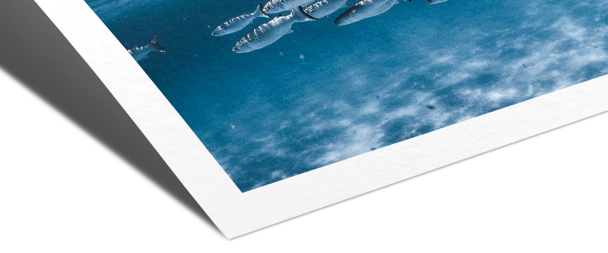 FineArt Smooth Cotton Bright White