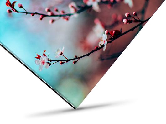 Galerie Print kaschiert hinter Acrylglas Galerie Print kaschiert hinter Acrylglas