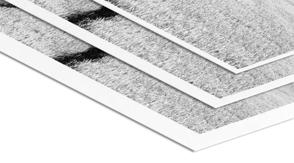 Weißrand - Ilford Warmtone Schwarz-Weiß mit weißem Rand