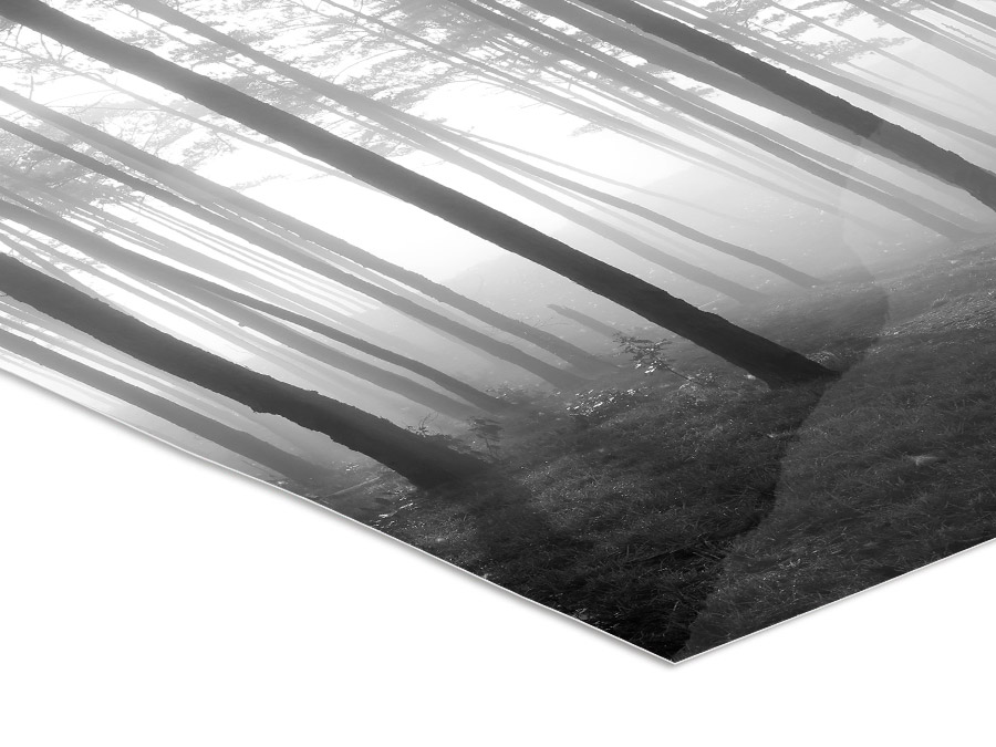 Abzug auf FineArt Baryt Fotopapier Abzug auf FineArt Baryt Fotopapier