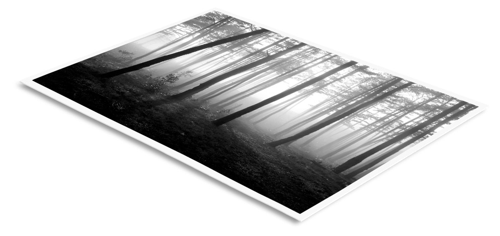 D-Roller Baryt Print immer plan D-Roller Baryt Print immer plan